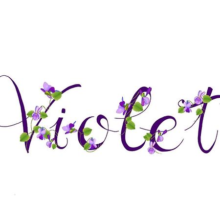 Appartamento Violet - Parma Dış mekan fotoğraf